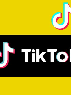 TikTok Ads Masterclass Complete: Influencer Marketing & More