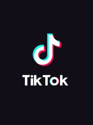 TikTok Marketing Course| Get 10k, 100k, 1M+ Views